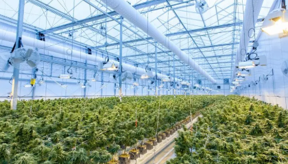 智慧农业解决方案